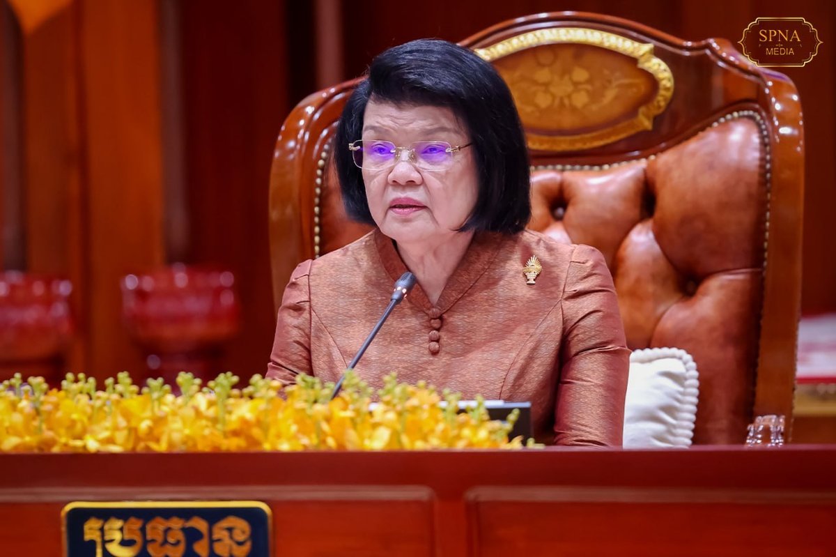 柬埔寨国会确认新议员资格并批准四项重要法案