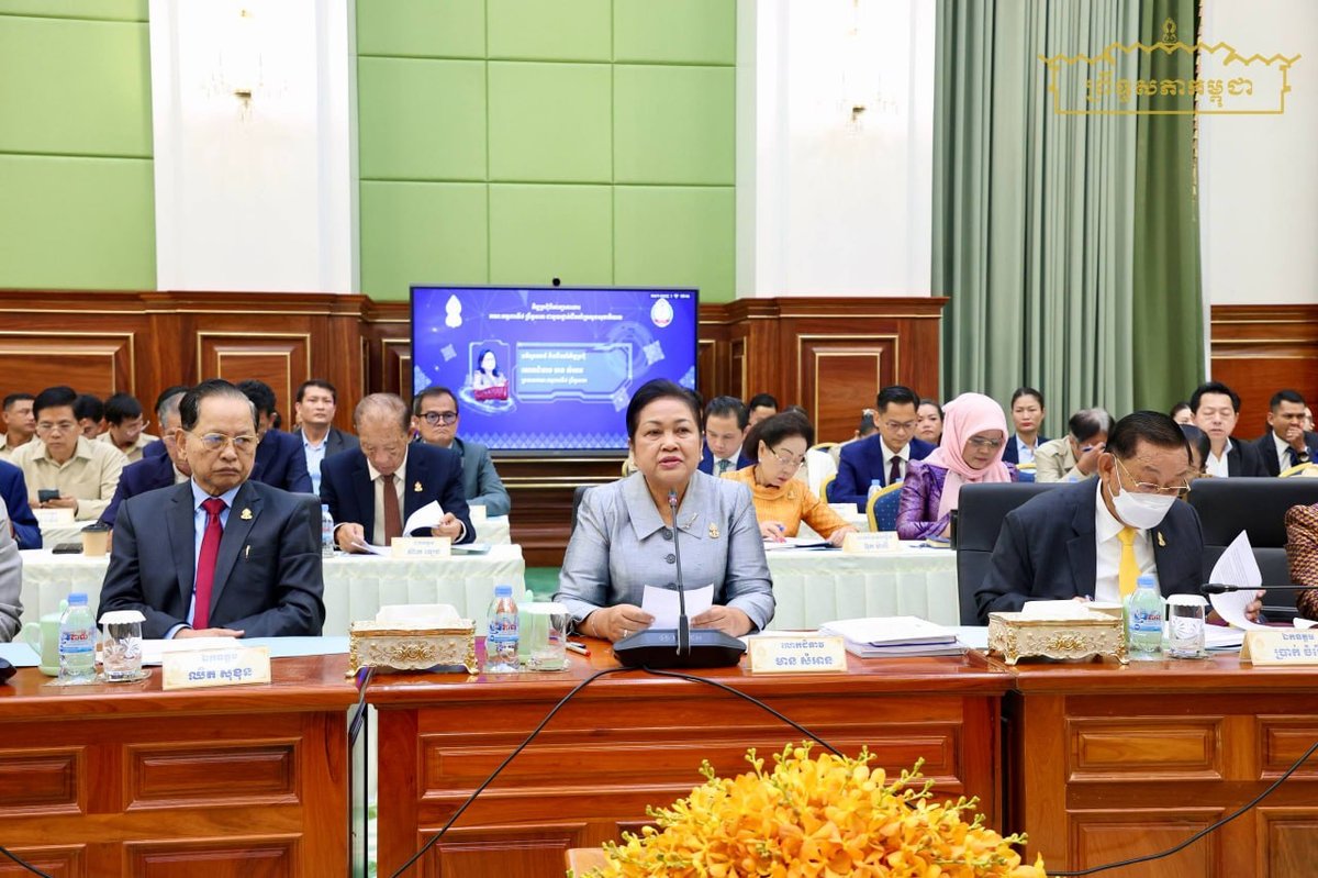 柬埔寨参议院第八委员会与卫生部共商医疗战略规划