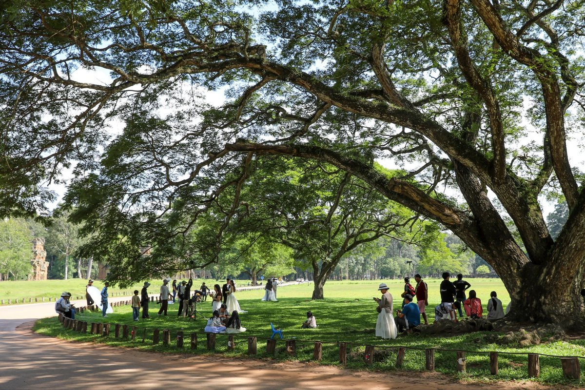 暹粒斗象台成婚纱摄影热门地 建议避开旅游高峰