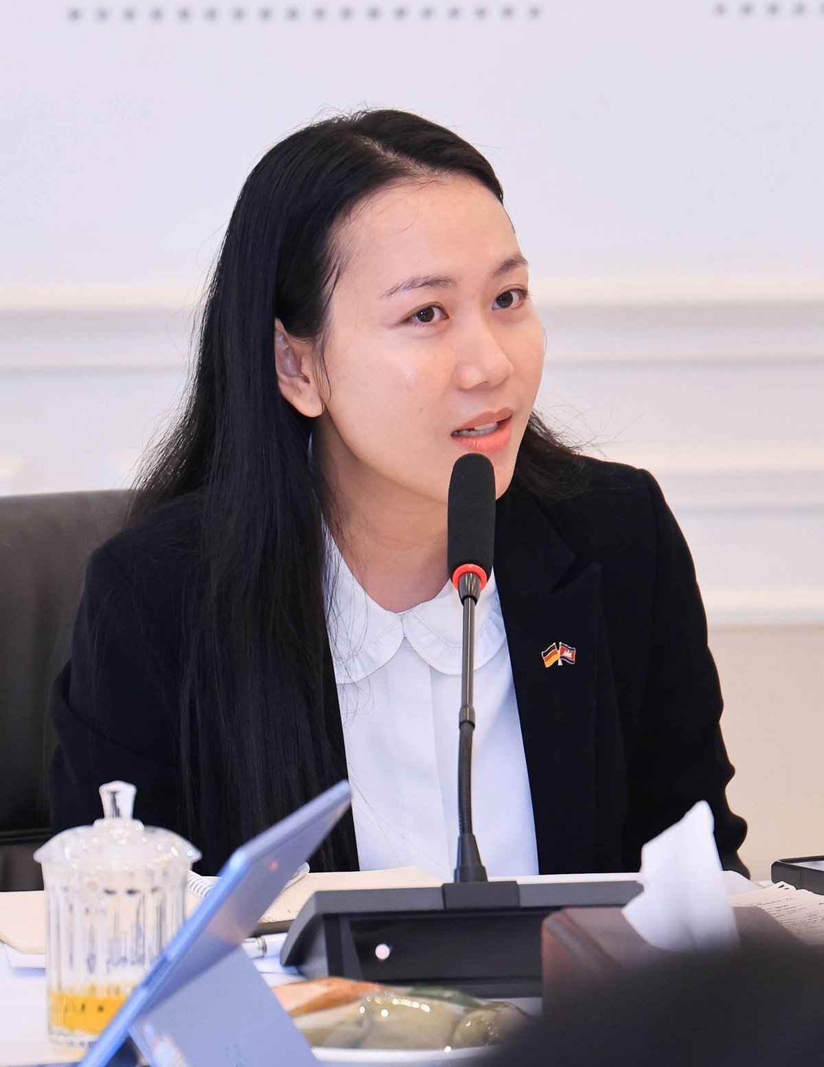 柬埔寨商务部召开欧盟德国贸易专家会议