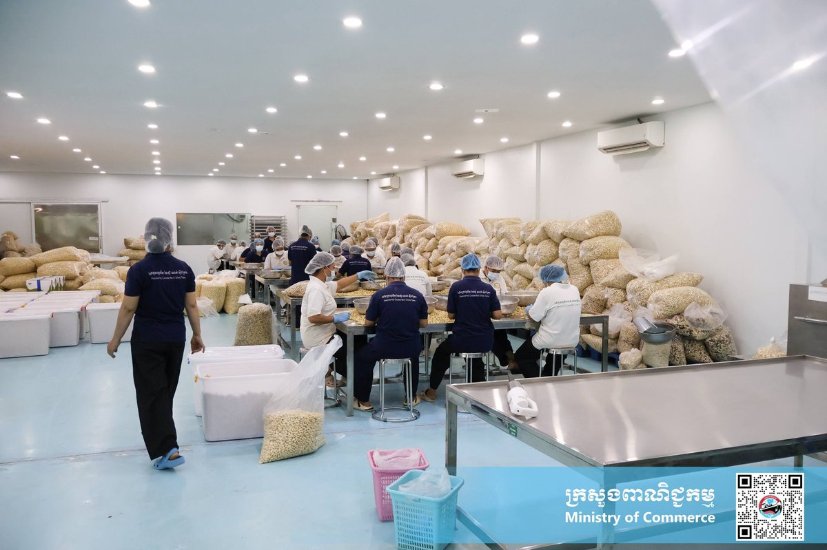 HCST投资公司成功将柬埔寨腰果出口至英国市场,商务部官员赴