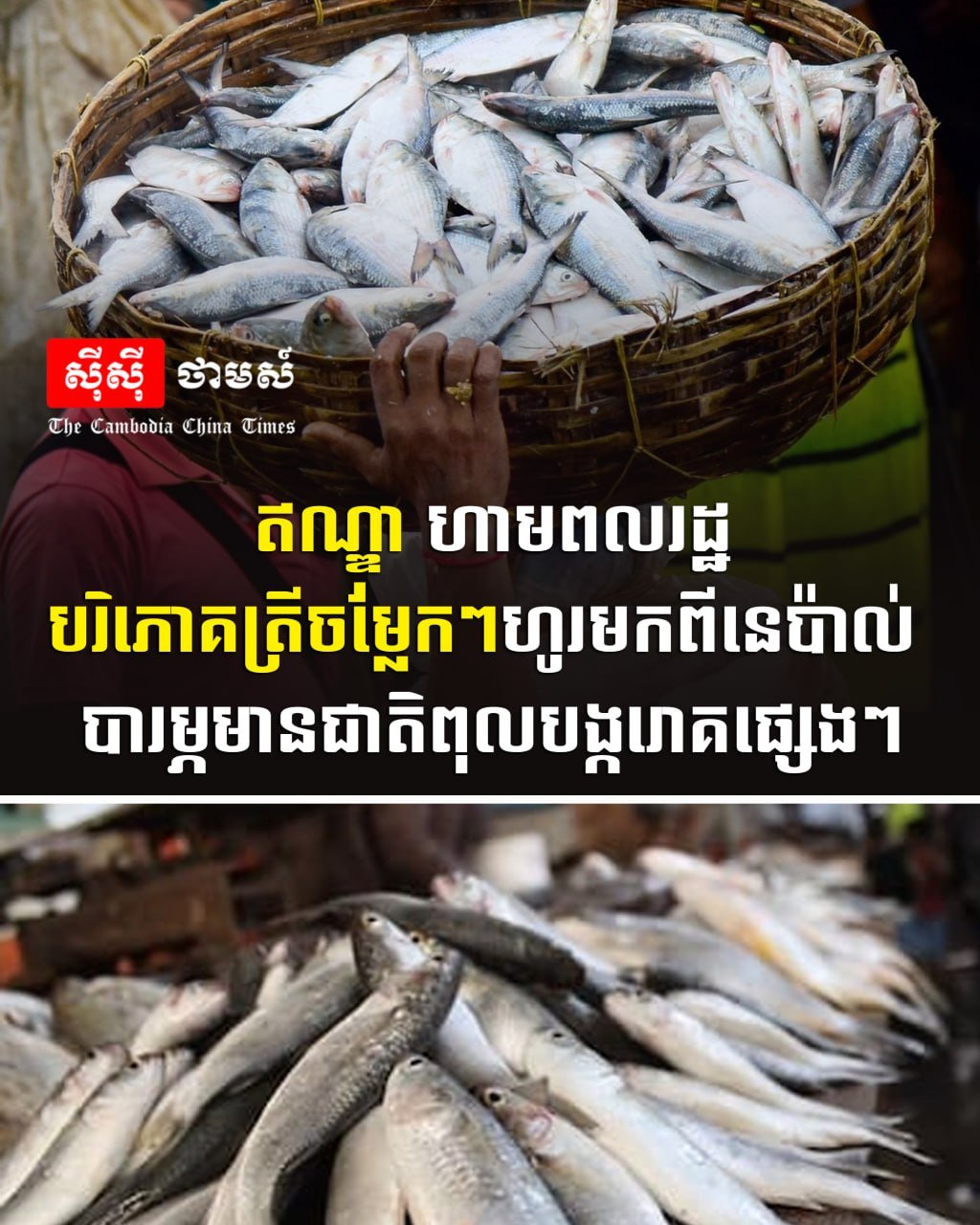 印度发布尼泊尔进口鱼类健康预警 严防食品中毒