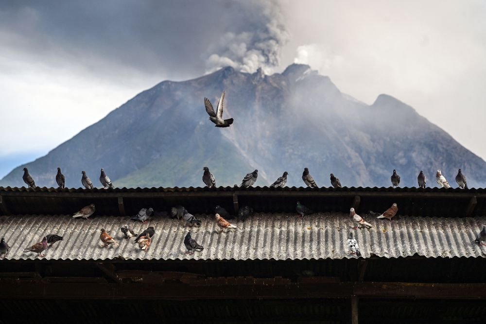 印尼雅加达机场因火山喷发延长关闭至今日傍晚