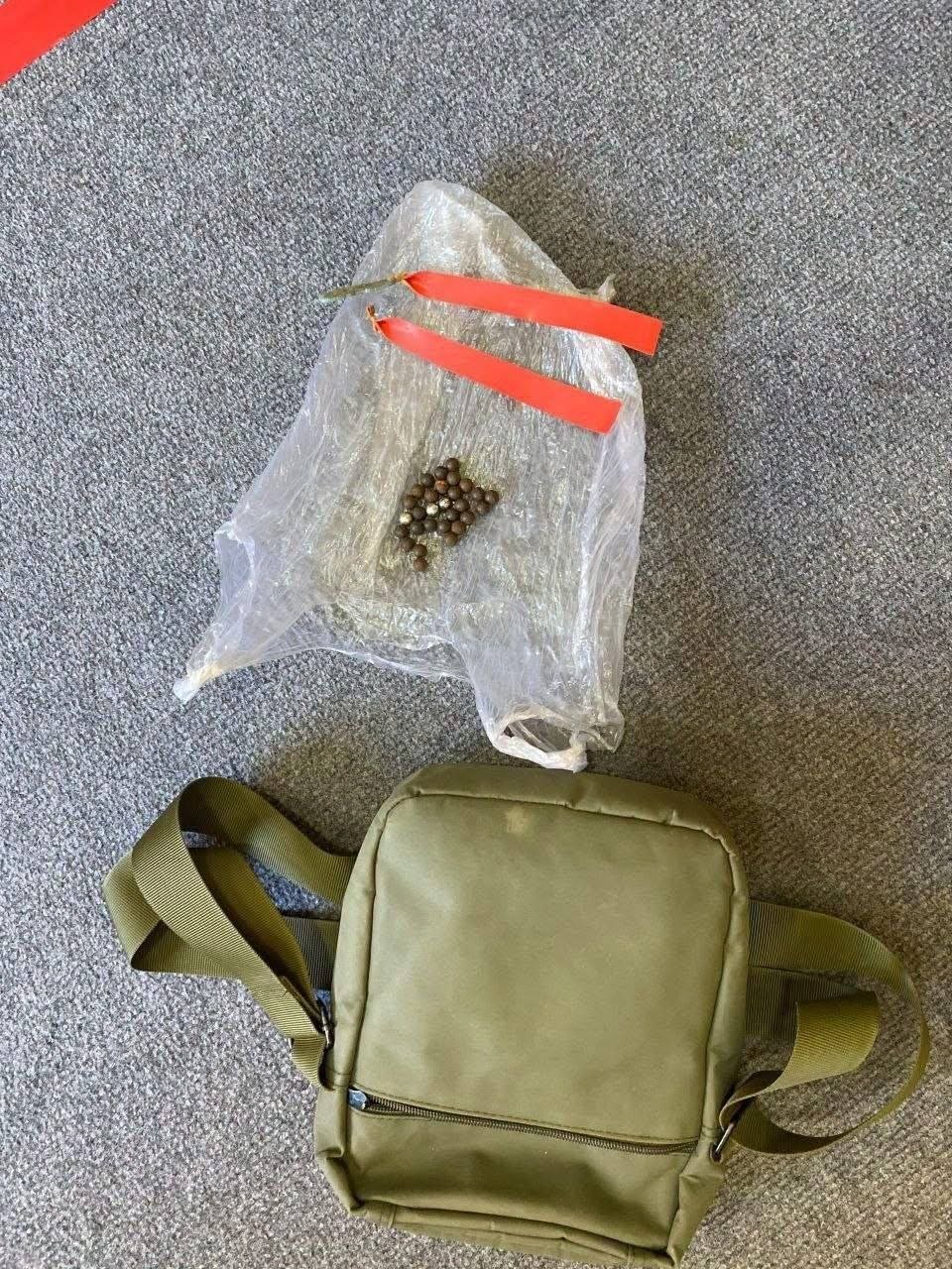 磅通省警方抓获射伤妇女嫌疑人