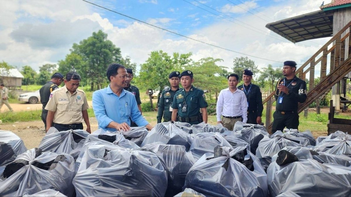 吉特波里县当局开展执法行动,指导当地民众停止非法砍伐树木制作