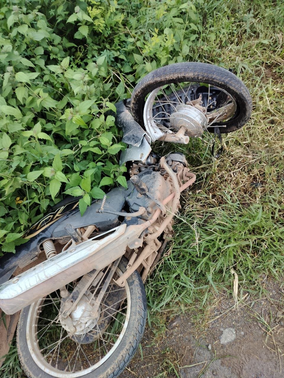 马德望省国道5号线发生车祸致一人死亡