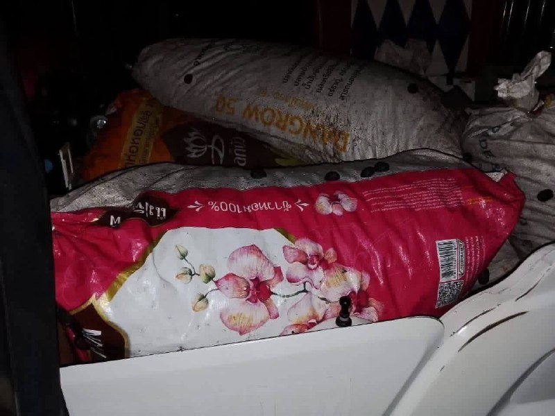 国公省当局近日查获两名非法从泰国进口食品及调味品的嫌疑人,并