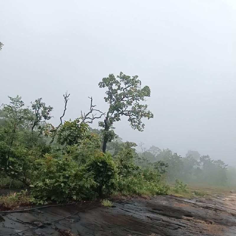 三边交界处天气阴沉 提醒驻守人员注意健康