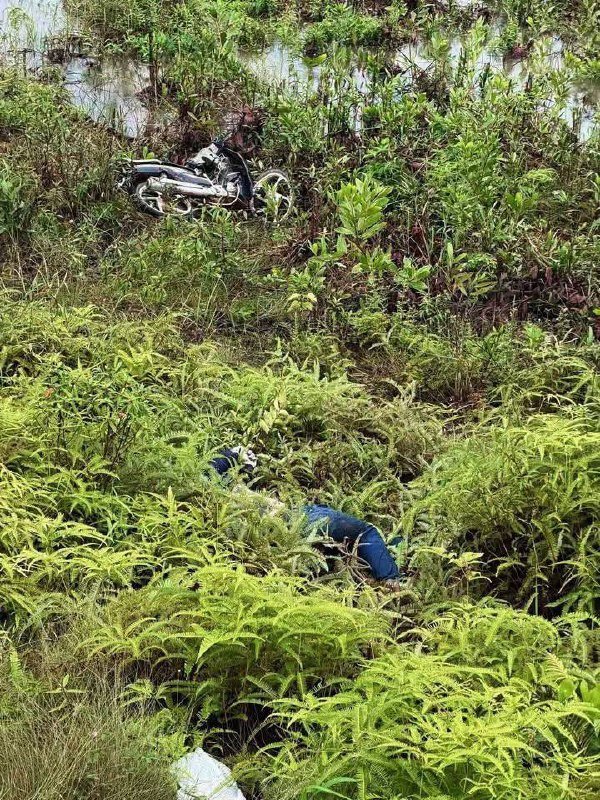 金港高速附近发现男性遗体 警方介入调查