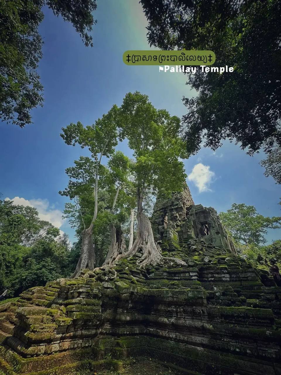 暹粒雨季旅游攻略发布 推荐多个小众摄影打卡点