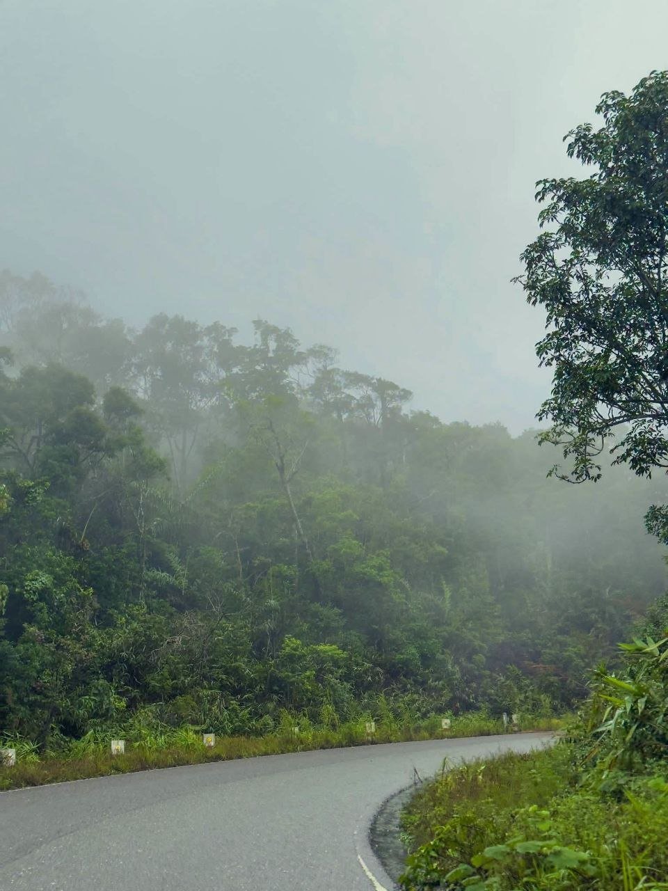 波哥山雨季云海景观 适合周末休闲避暑