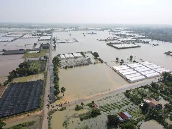 马德望省塔莫县塔赛村今日出现降水，当地居民需注意防范积水对生
