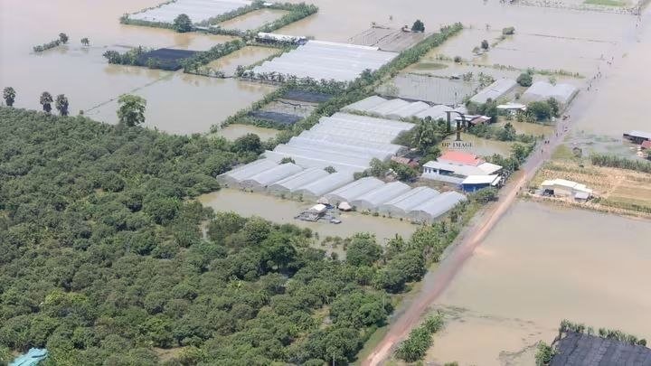 马德望省多地遭遇洪涝灾害 塔莫县受灾严重