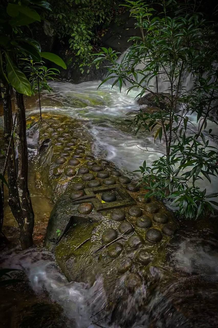 探索柬埔寨自然与文化旅游资源