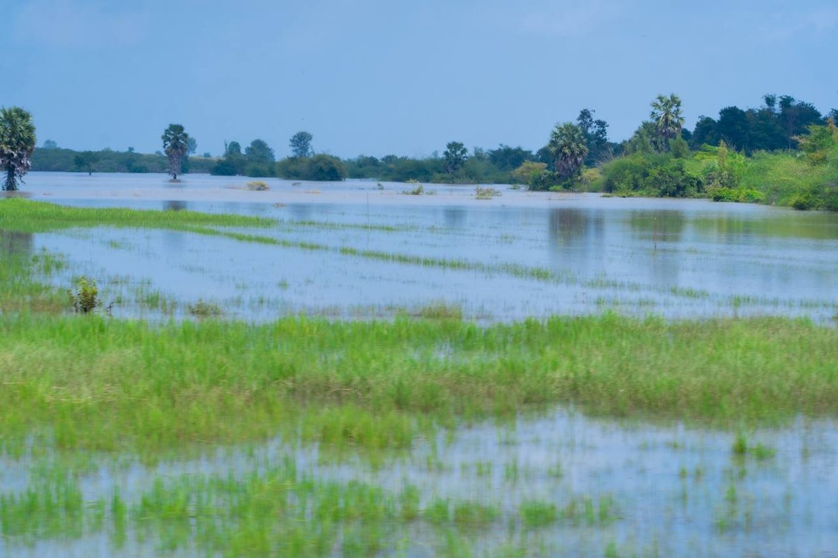 旅游部部长胡哈视察磅通省水灾 评估农作物受损情况