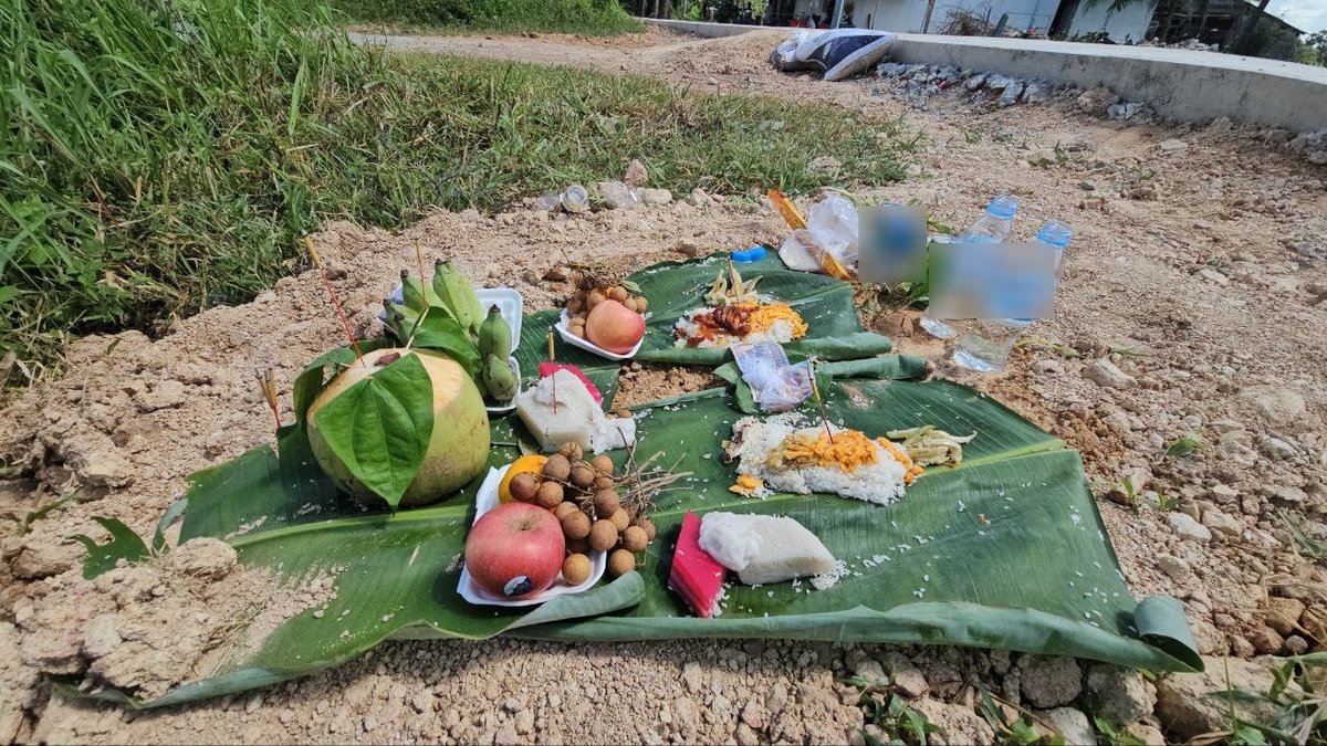 因砍伐寺庙内百年古树引发当地民众不安,村民通过举行传统祭祀仪