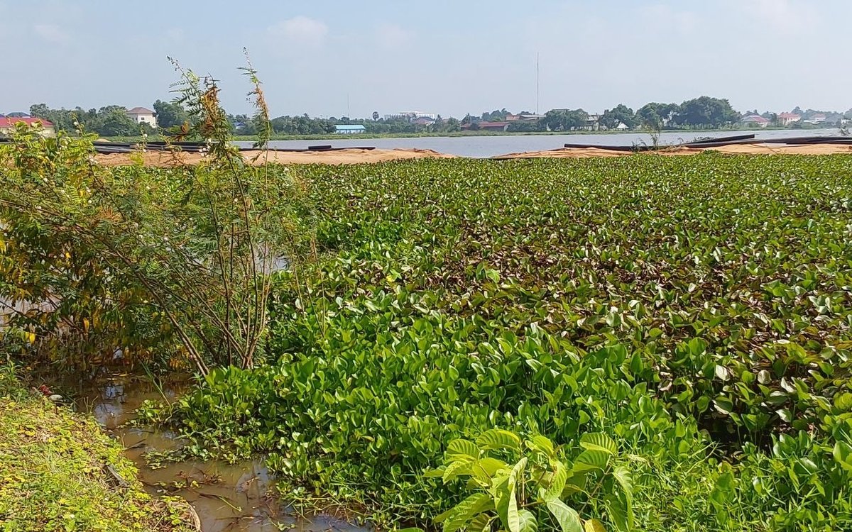 磅通省湿地遭非法填埋 当地环境监管引关注