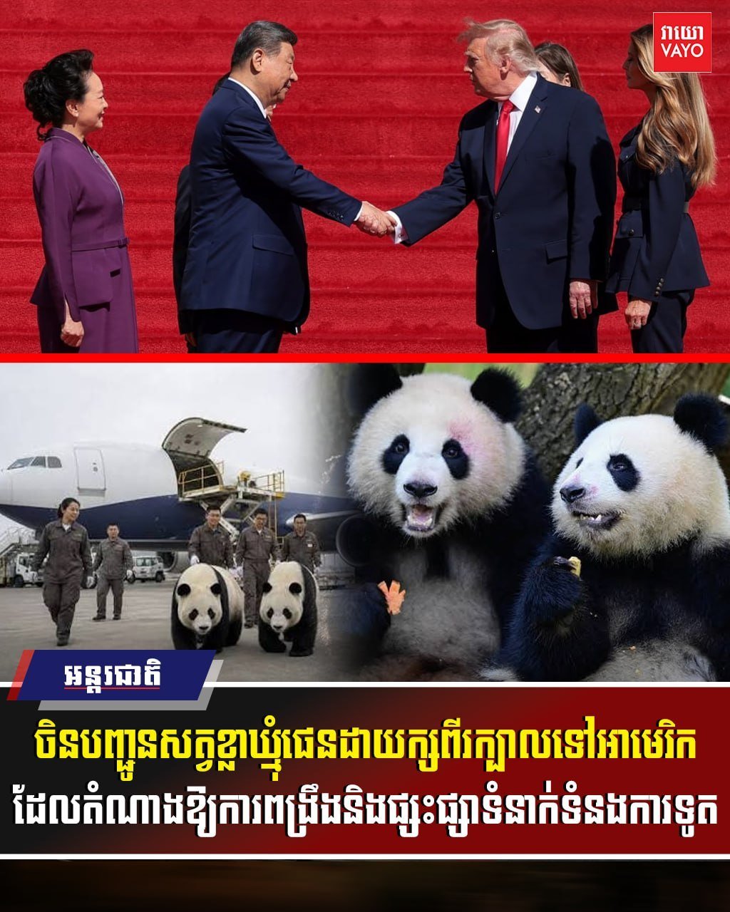 中美大熊猫外交重启 两只大熊猫启程赴美