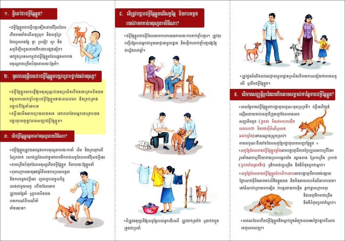 柬埔寨卫生部提醒民众警惕狂犬病 咨询拨打115