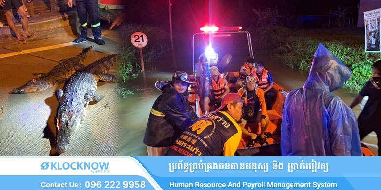 泰国洪水致4条鳄鱼逃逸 当局处理能力受质疑