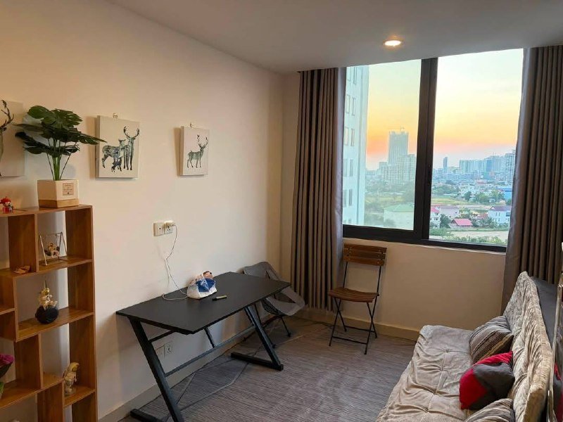 水净华Mekong View 6一房公寓招租 月租$300含