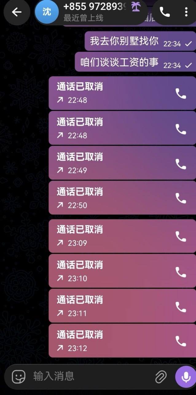 金边项目负责人拖欠工资 涉嫌灰产被曝光