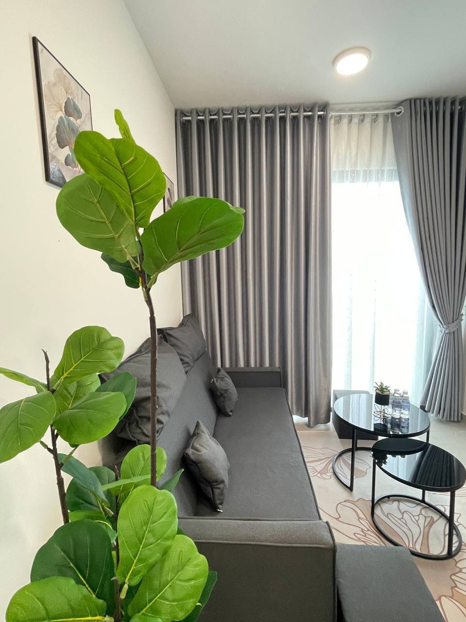 Urban Village二期一房一厅招租 月租$290含物