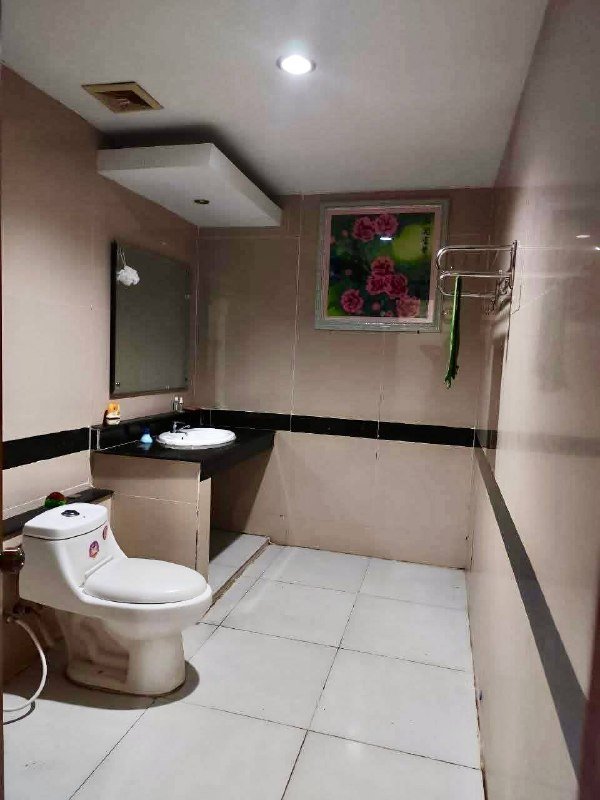棉芷区万通公寓一房一厅招租 月租$200含家具