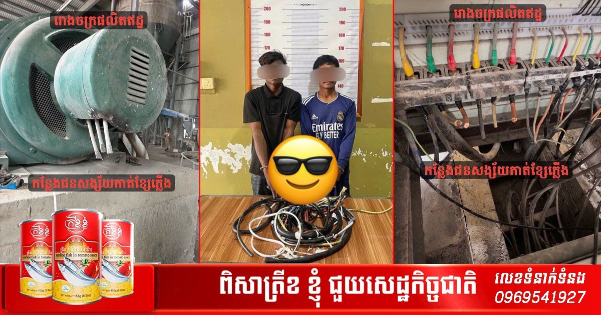 警方逮捕2名盗窃电缆嫌犯 严打基础设施破坏