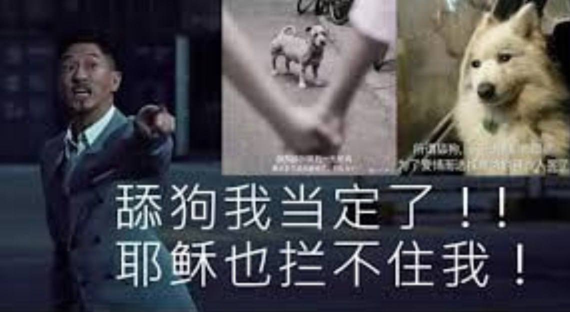群友投稿揭露网络爱情诈骗手段与心理