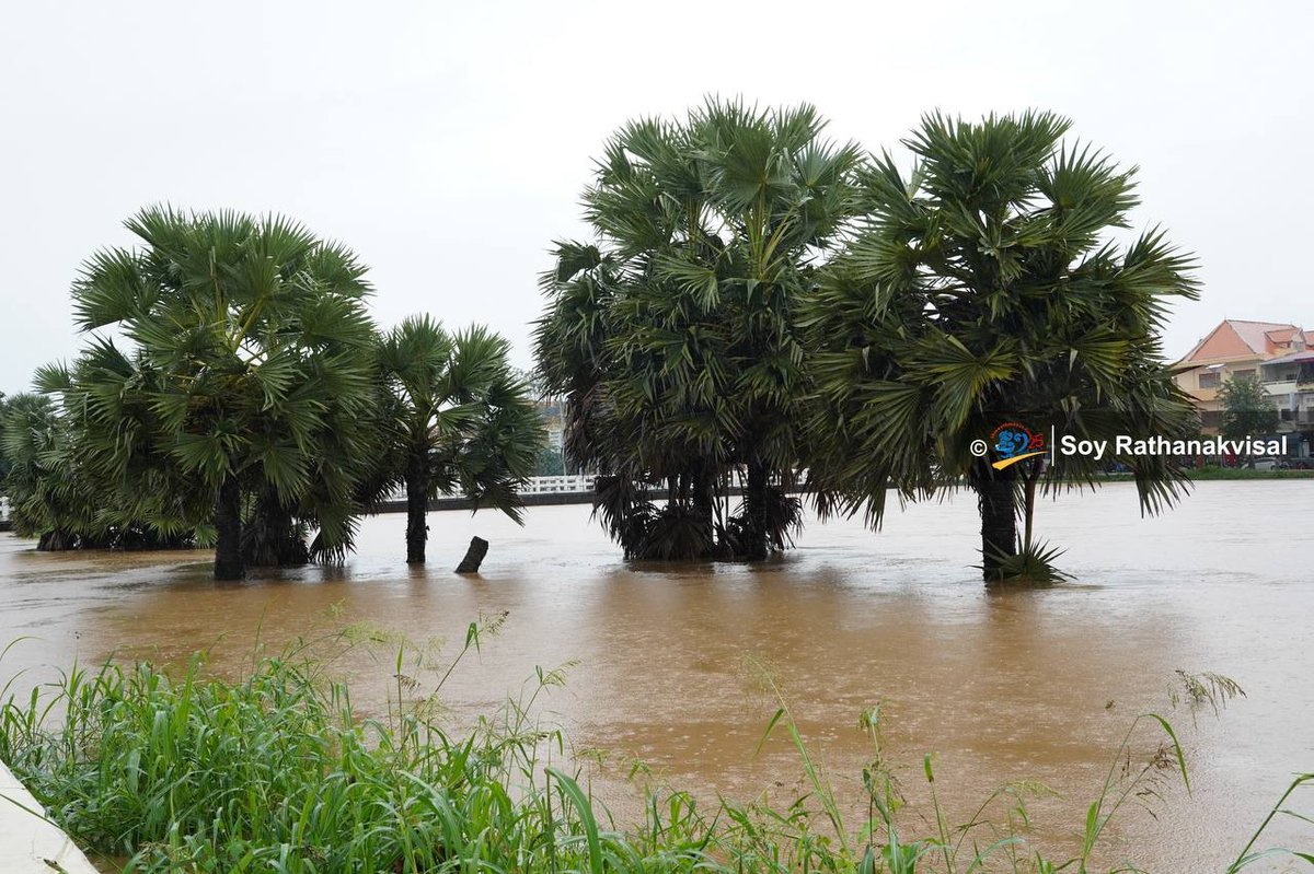 马德望省自26日起持续降雨，桑克河水位不断上涨，导致部分民宅