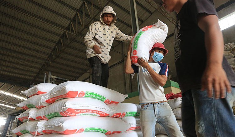 柬埔寨大米出口量激增67% 前8个月达79万吨