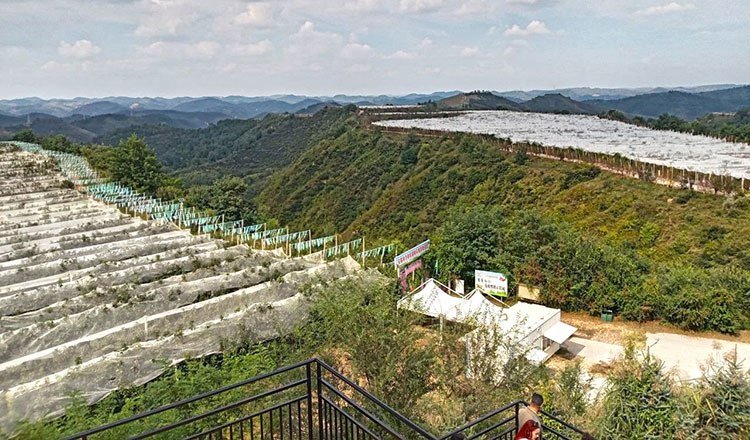 中国陕西延安农村通过现代农业与旅游业实现脱贫