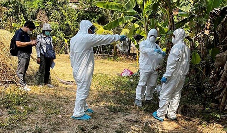 奥多棉吉省确诊一例H5N1禽流感 卫生部发布预警