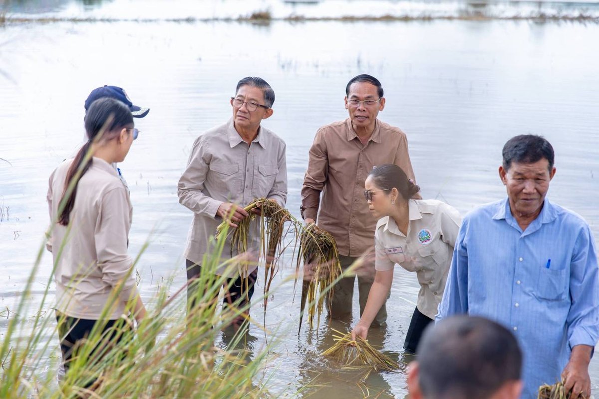 班迭棉吉省政府发放稻种 援助受洪灾影响农户