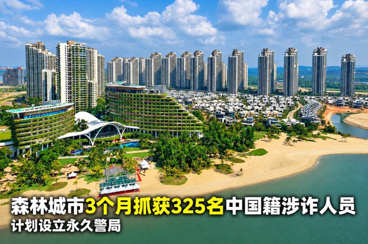马来西亚森林城市3个月抓325名涉诈人员 拟设永久警局