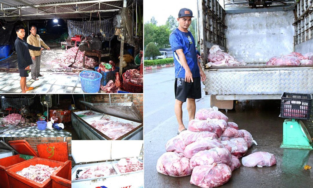 越南查获病猪肉加工点 长期流入市场