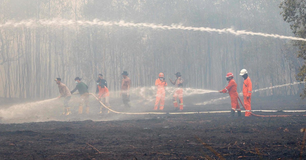 印尼林火烟雾致死超3500人 灾害规模近年罕见