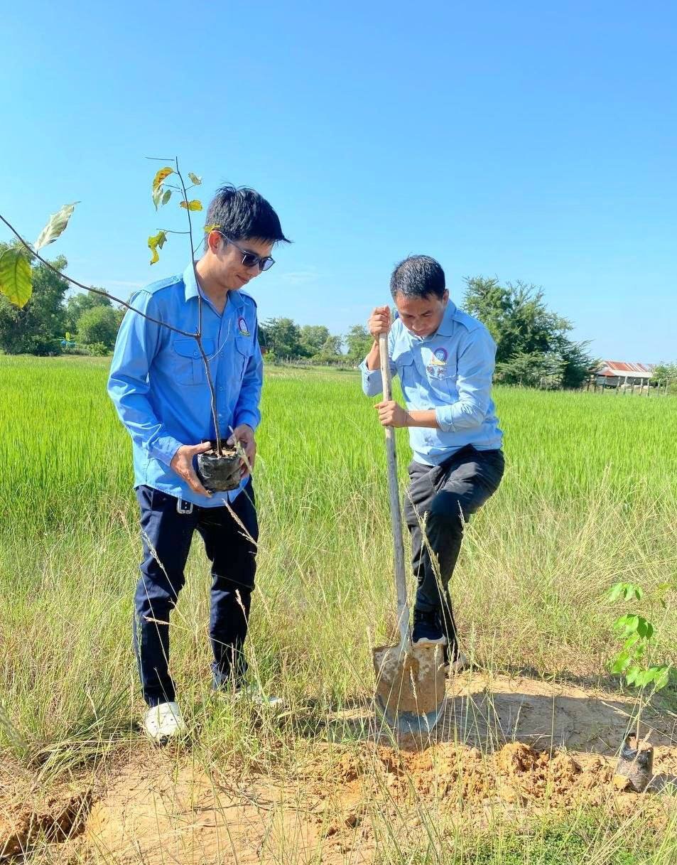 克拉兰县青年组织开展植树活动 助力社区绿化