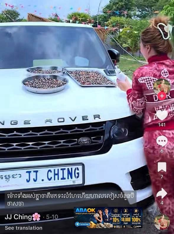 金边一轿车撞死行人逃逸 警方喊话JJ Ching车主自首