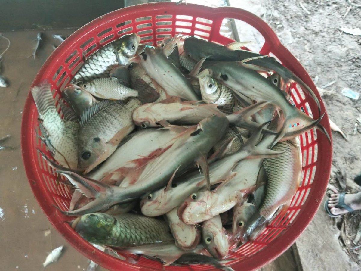 农业部向边防部队捐赠物资 累计供应超5.5万公斤