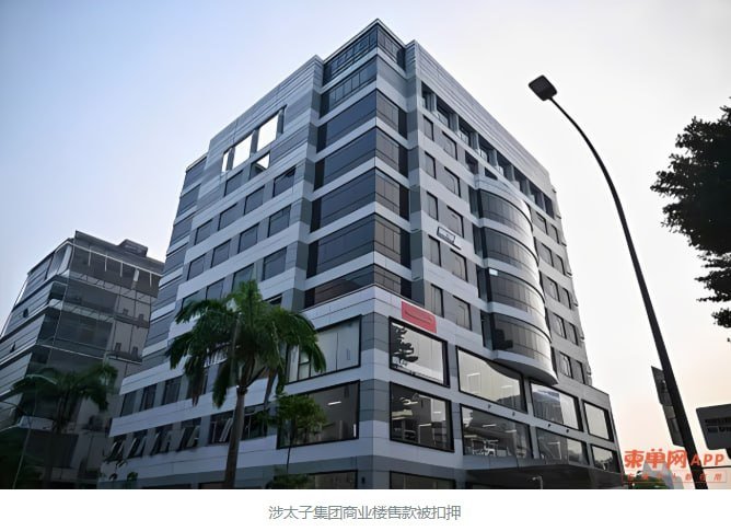 新加坡警方扣押太子集团关联资产3045万美元