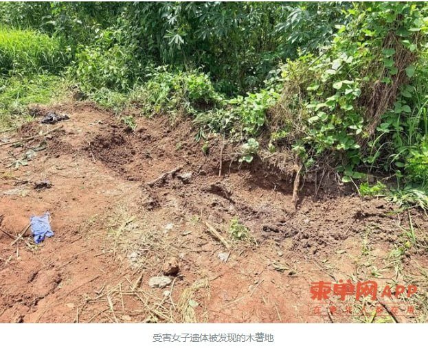 磅湛省女子失踪近一月 遗体在农田被发现