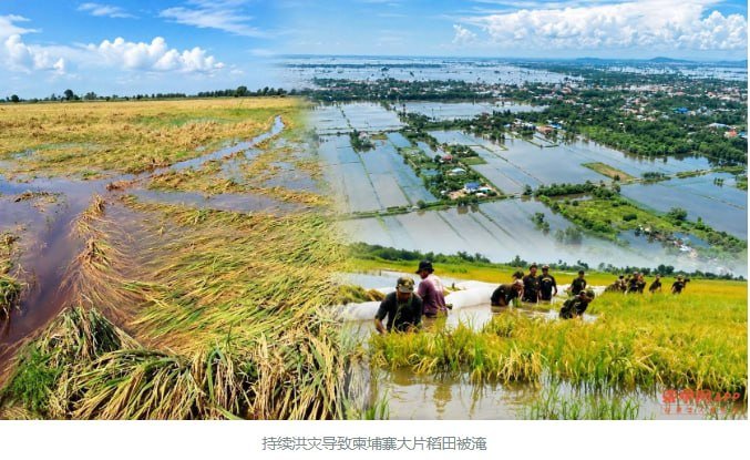 柬埔寨近期洪灾波及10个省份,近6万户家庭受影响,15.61