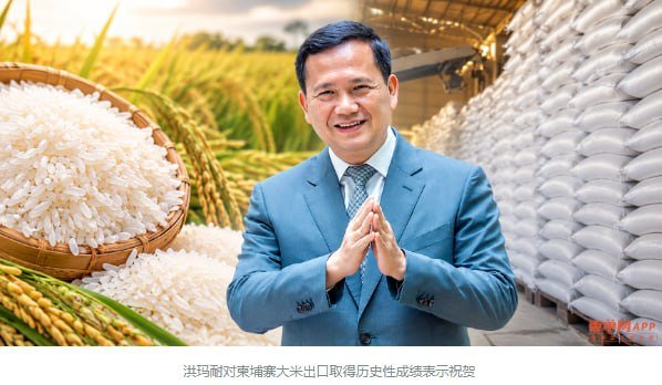 柬埔寨大米出口首次突破100万吨 创历史新高