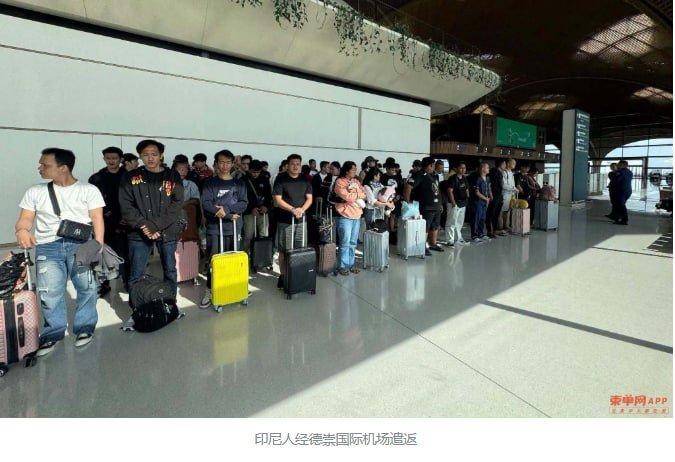 柬埔寨遣返72名涉电诈印尼人 含12名女性