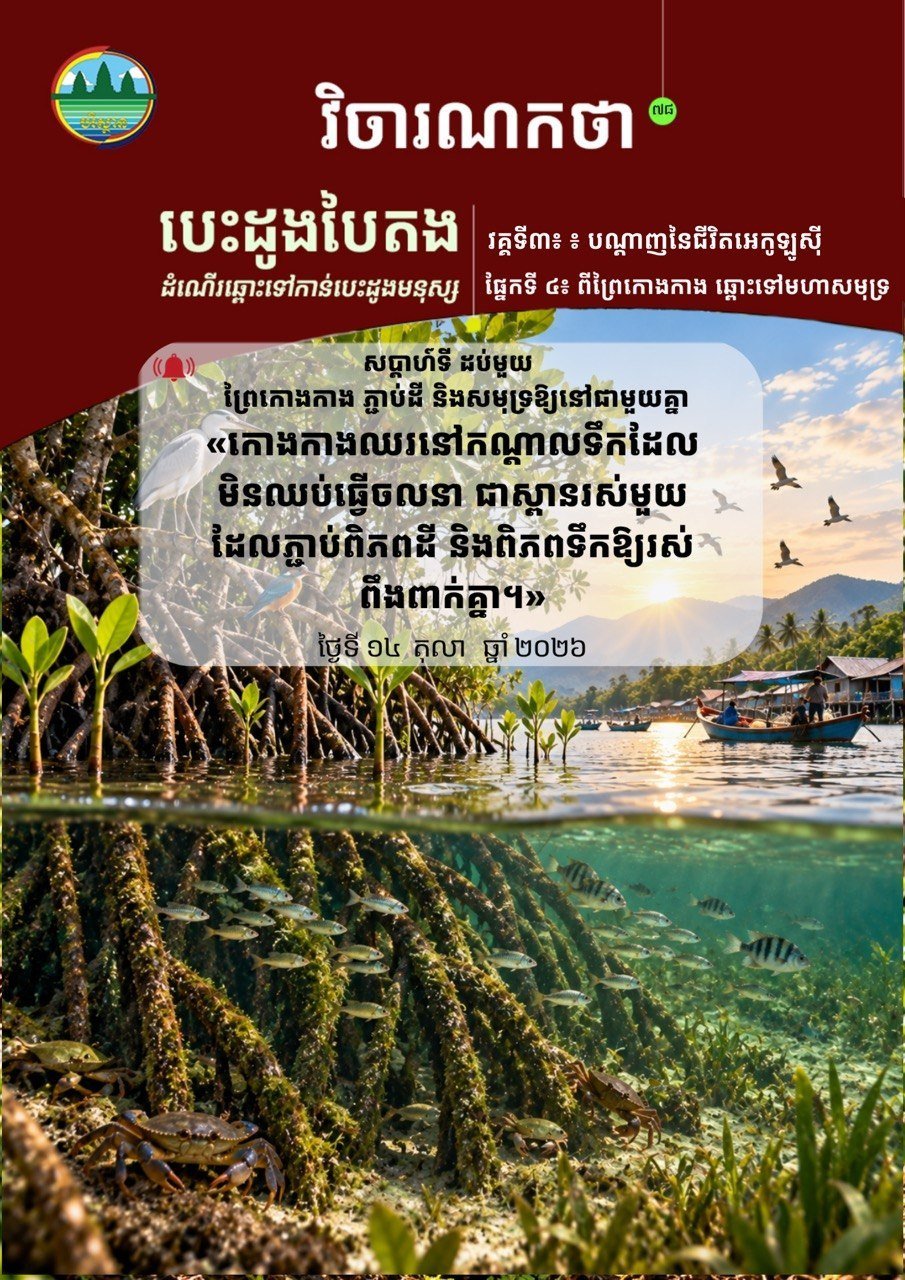 柬埔寨红树林生态保护与土地海洋关联分析