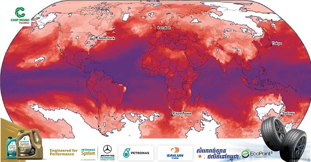 路透社最新研究指出,极端高温天气已覆盖全球85%的地区,历史