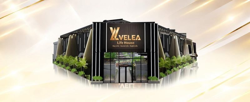 金边VELEA酒吧招数字营销专员 提供晚餐