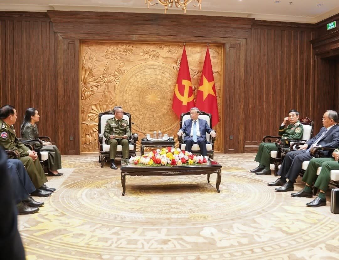 狄西哈会见越南国家主席 强化两国防务合作